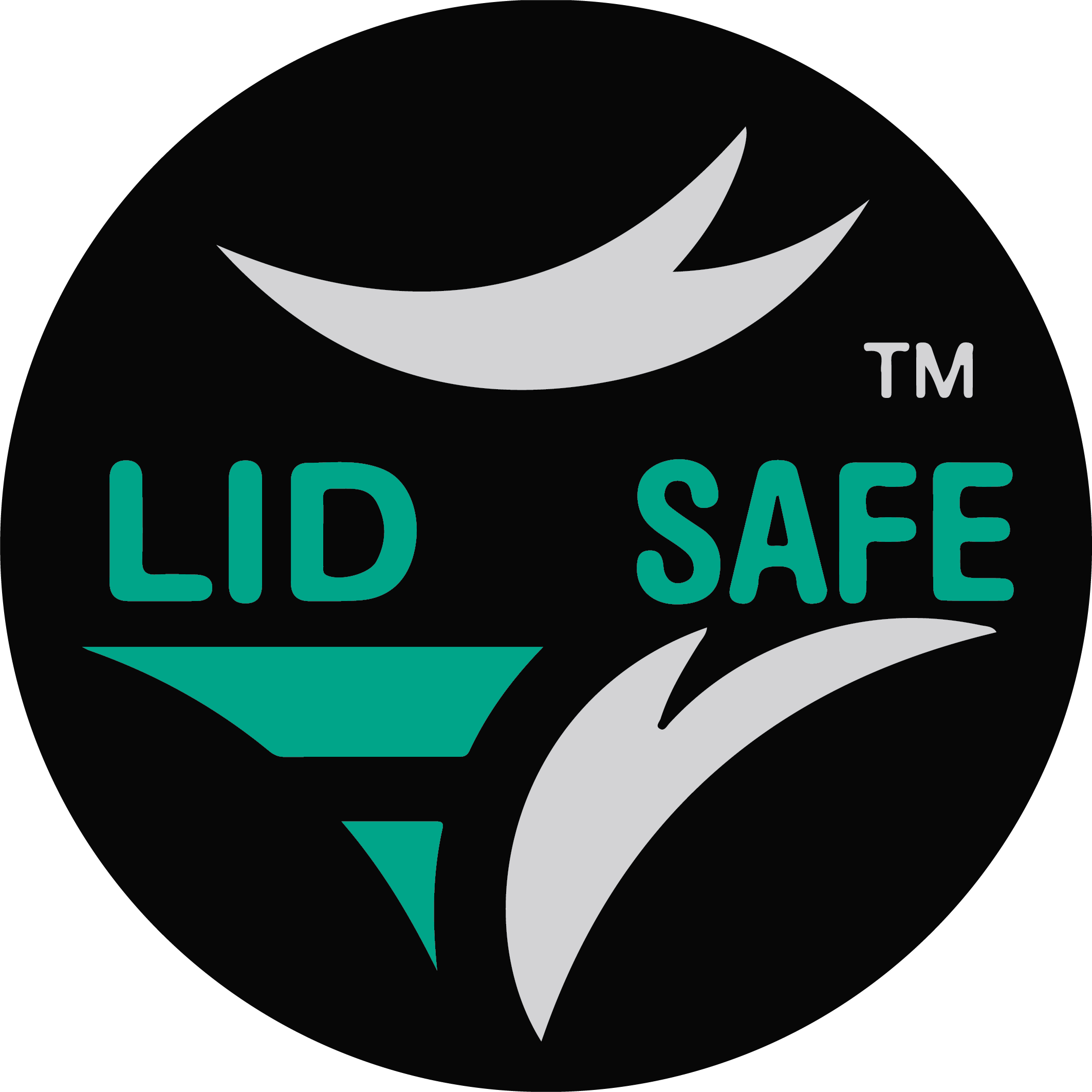 lid safe logo